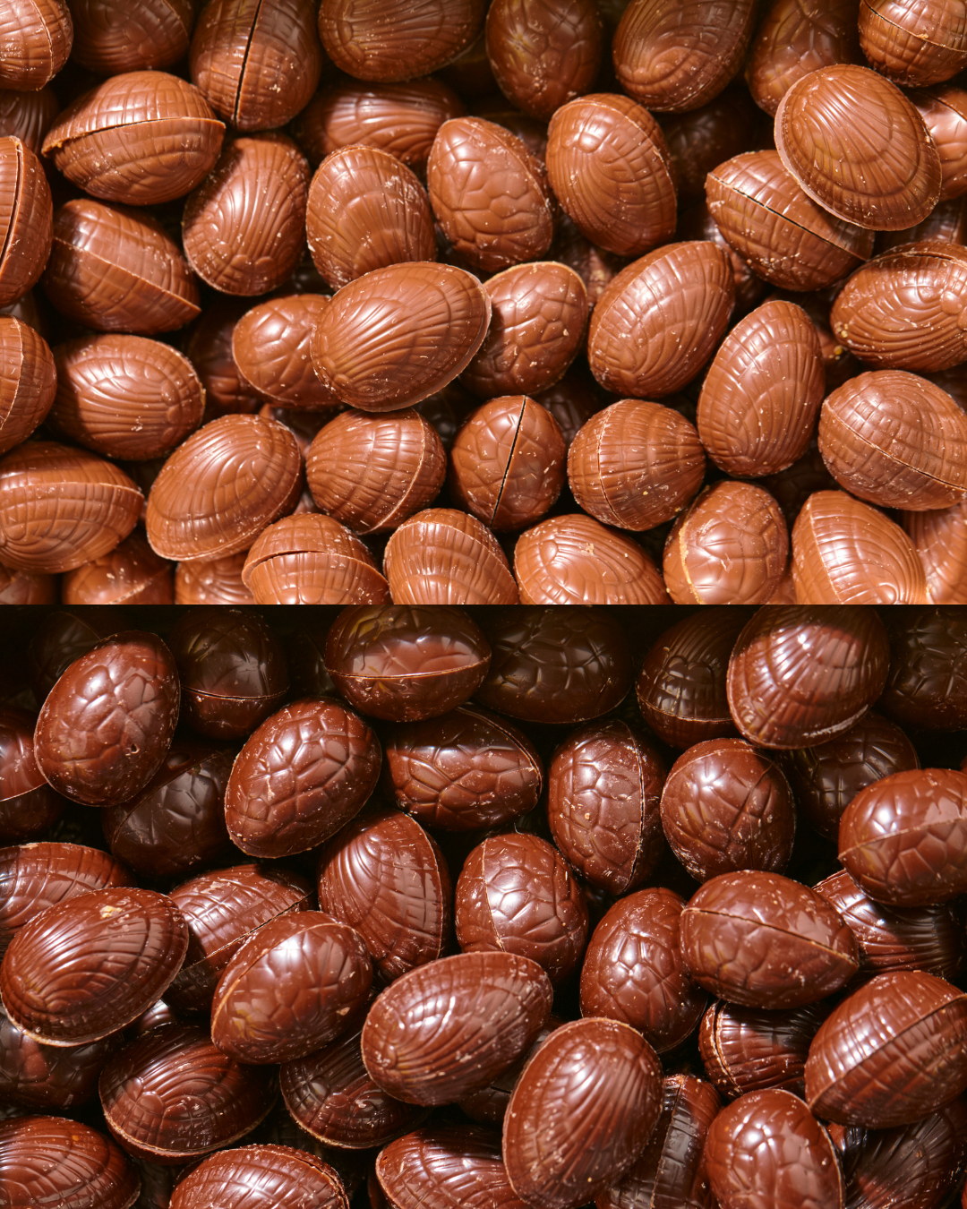 Albert der Osterhase Nur im Laden