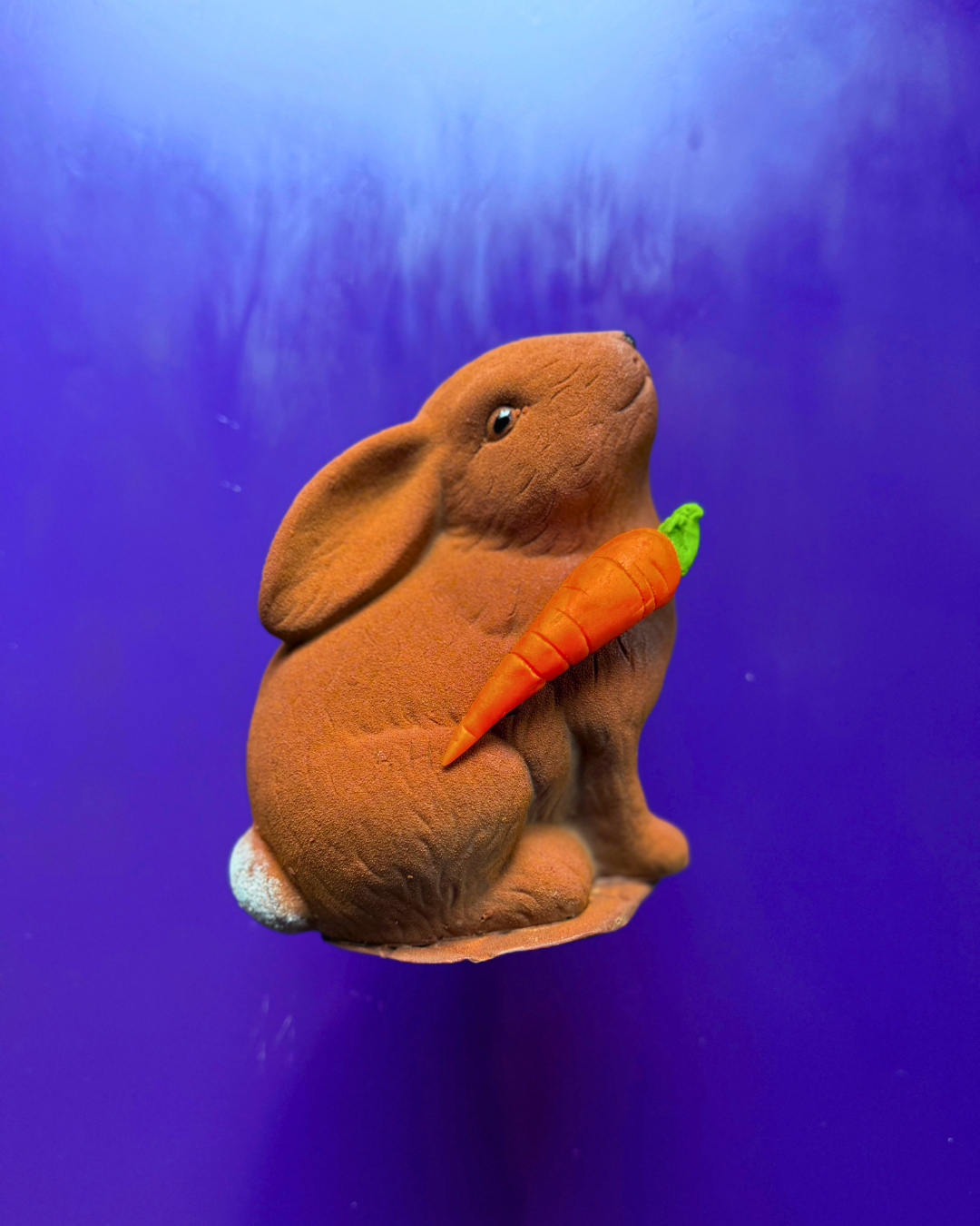 Albert der Osterhase Nur im Laden