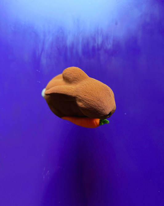 Albert der Osterhase Nur im Laden